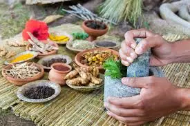 Combining medical treatment with travel in India